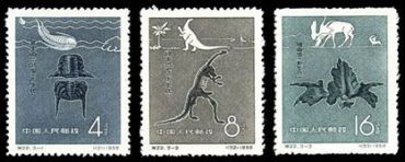 特22 中国古生物